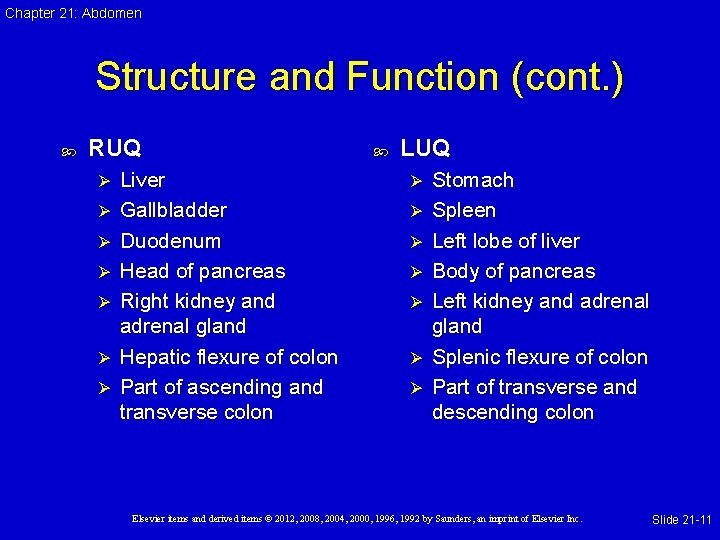 Chapter 21: Abdomen Structure and Function (cont. ) RUQ Ø Ø Ø Ø Liver