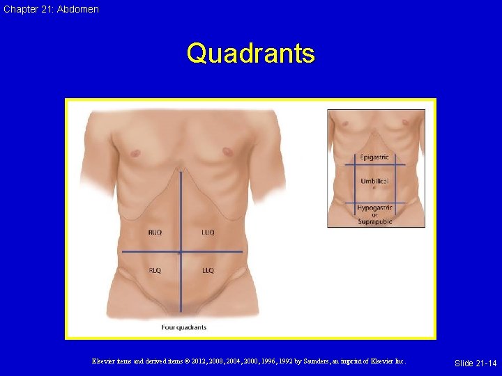 Chapter 21: Abdomen Quadrants Elsevier items and derived items © 2012, 2008, 2004, 2000,