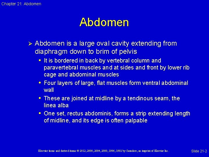 Chapter 21: Abdomen Ø Abdomen is a large oval cavity extending from diaphragm down