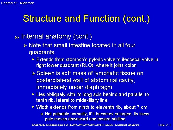 Chapter 21: Abdomen Structure and Function (cont. ) Internal anatomy (cont. ) Ø Note