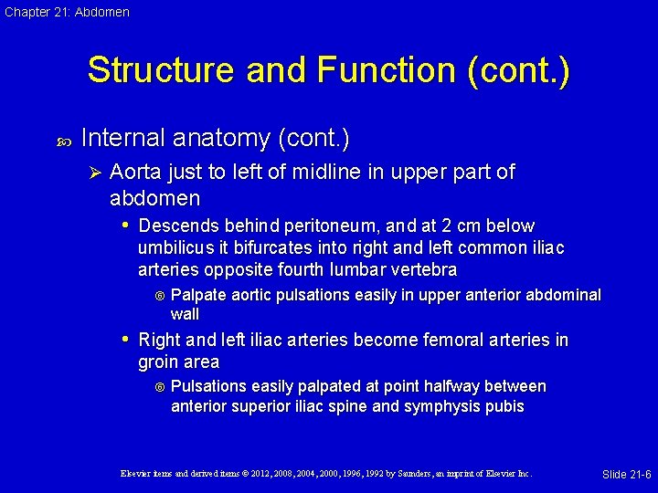 Chapter 21: Abdomen Structure and Function (cont. ) Internal anatomy (cont. ) Ø Aorta