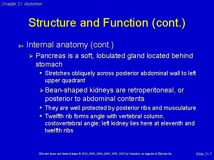 Chapter 21: Abdomen Structure and Function (cont. ) Internal anatomy (cont. ) Ø Pancreas