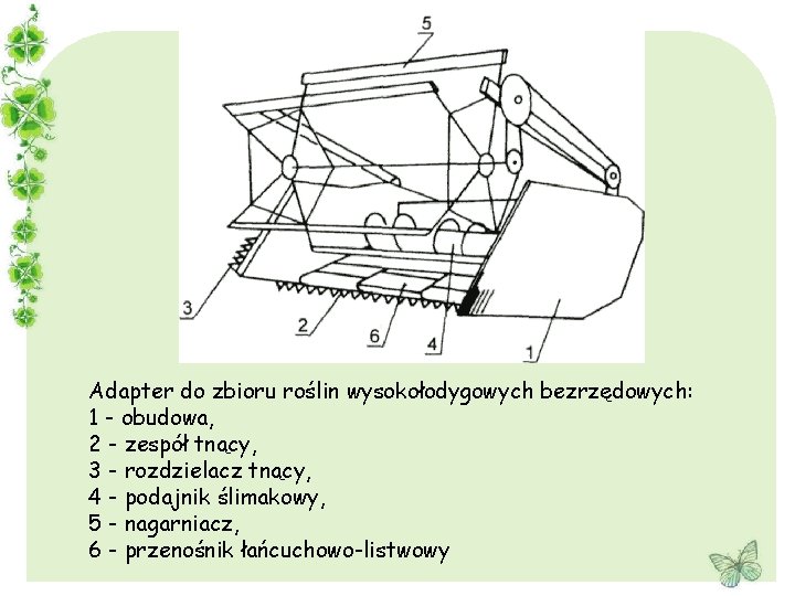 Adapter do zbioru roślin wysokołodygowych bezrzędowych: 1 - obudowa, 2 - zespół tnący, 3