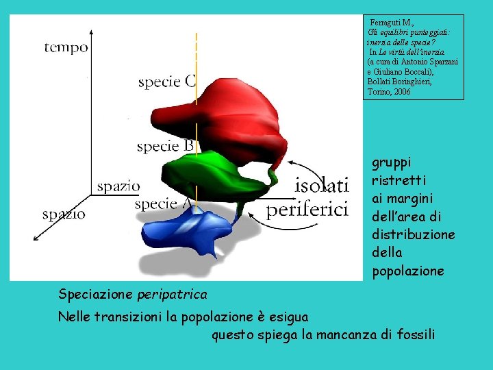 Ferraguti M. , Gli equilibri punteggiati: inerzia delle specie? In Le virtù dell’inerzia (a