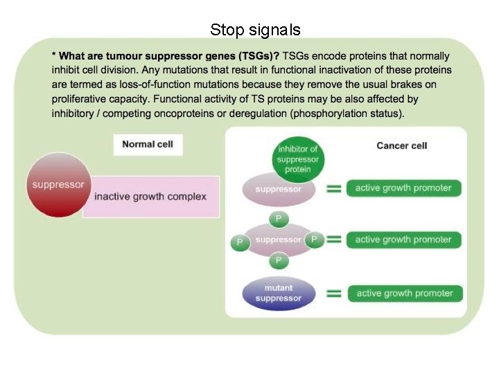 Stop signals 