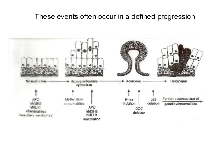 These events often occur in a defined progression 