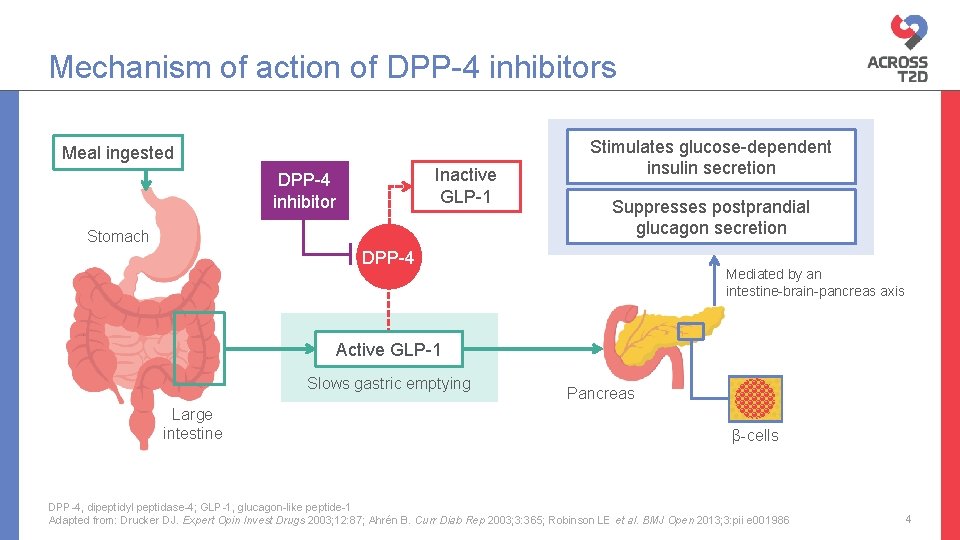 Mechanism of action of DPP-4 inhibitors Meal ingested Inactive GLP-1 DPP-4 inhibitor Stomach Stimulates