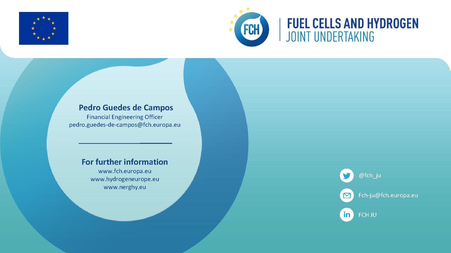 Pedro Guedes de Campos Financial Engineering Officer pedro. guedes-de-campos@fch. europa. eu For further information