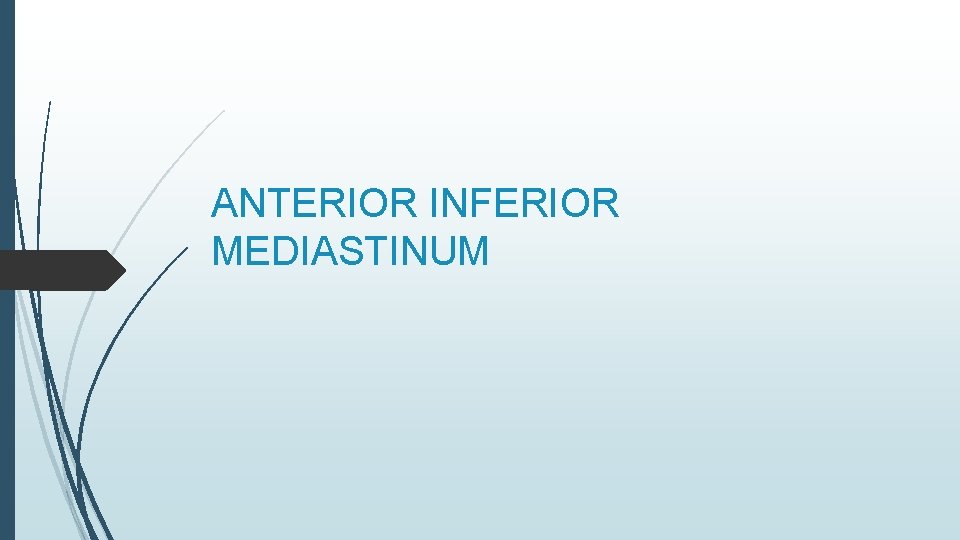 ANTERIOR INFERIOR MEDIASTINUM 