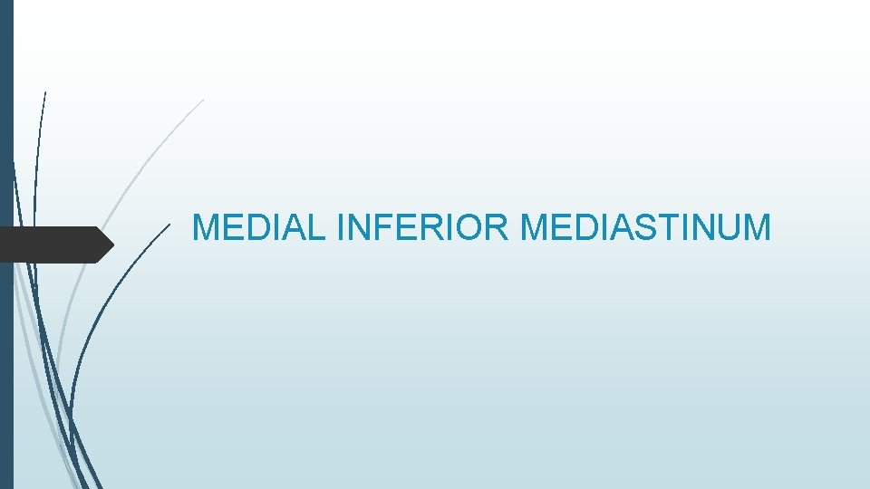 MEDIAL INFERIOR MEDIASTINUM 