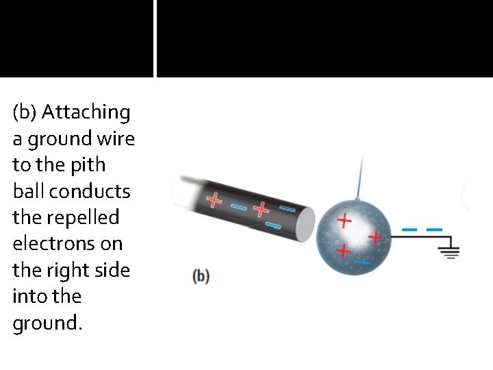 (b) Attaching a ground wire to the pith ball conducts the repelled electrons on