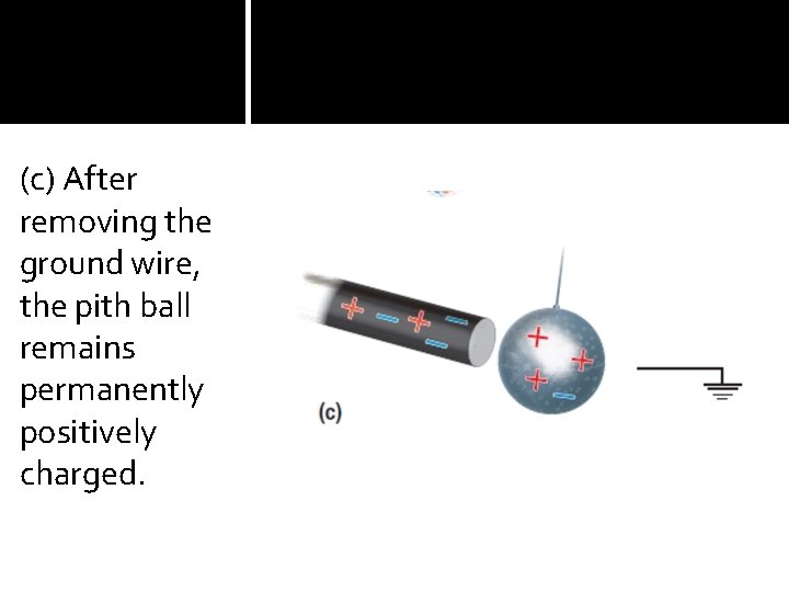 (c) After removing the ground wire, the pith ball remains permanently positively charged. 