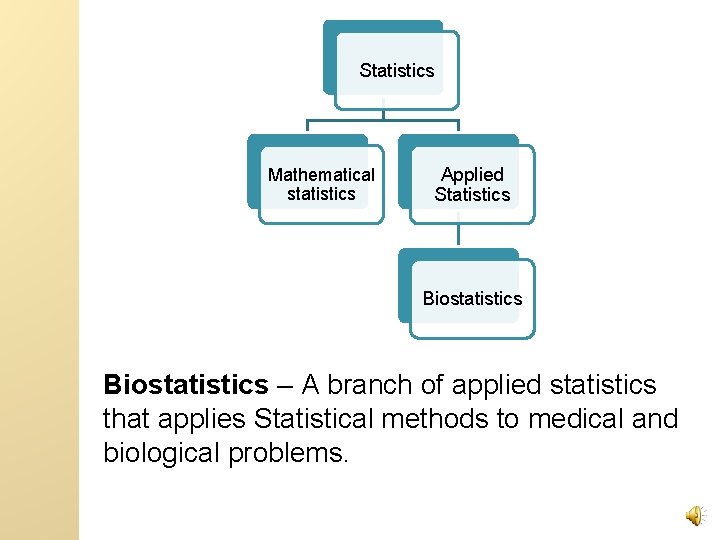 Statistics Mathematical statistics Applied Statistics Biostatistics – A branch of applied statistics that applies