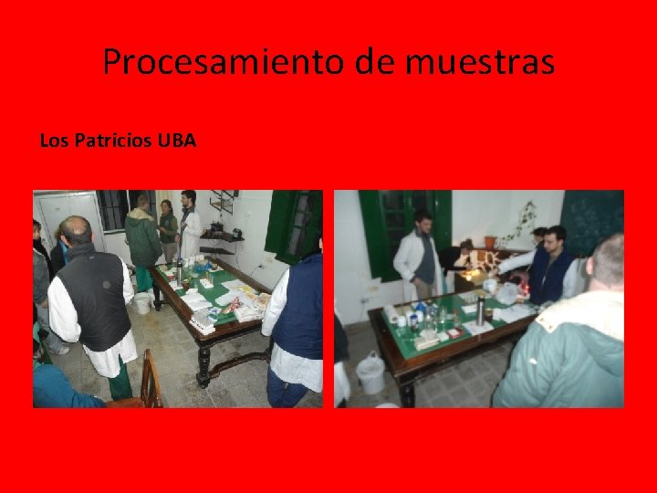 Procesamiento de muestras Los Patricios UBA Procesamiento de muestras Los Patricios UBA