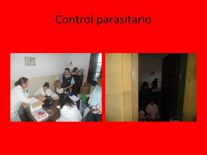 Control parasitario Control parasitario