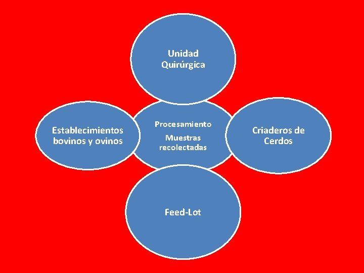 Unidad Quirúrgica Establecimientos bovinos y ovinos Procesamiento Muestras recolectadas Feed-Lot Criaderos de Cerdos Unidad Quirúrgica Establecimientos bovinos y ovinos Procesamiento Muestras recolectadas Feed-Lot Criaderos de Cerdos