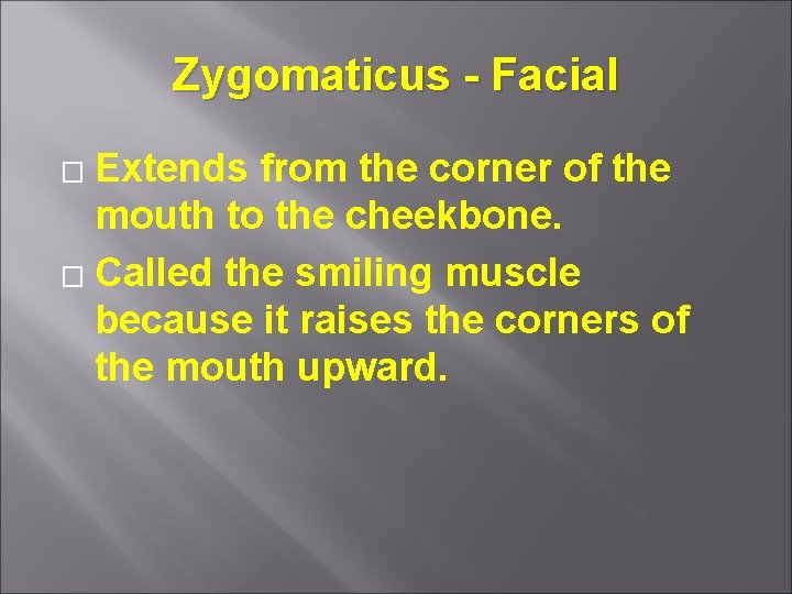 Zygomaticus - Facial Extends from the corner of the mouth to the cheekbone. �