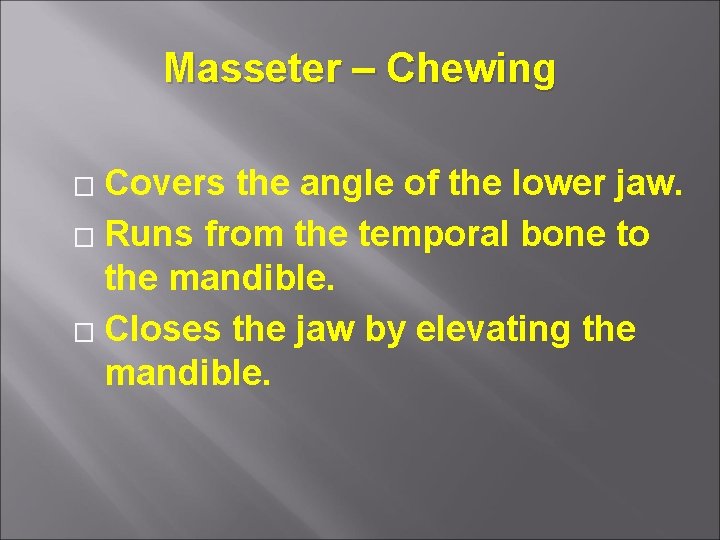 Masseter – Chewing Covers the angle of the lower jaw. � Runs from the