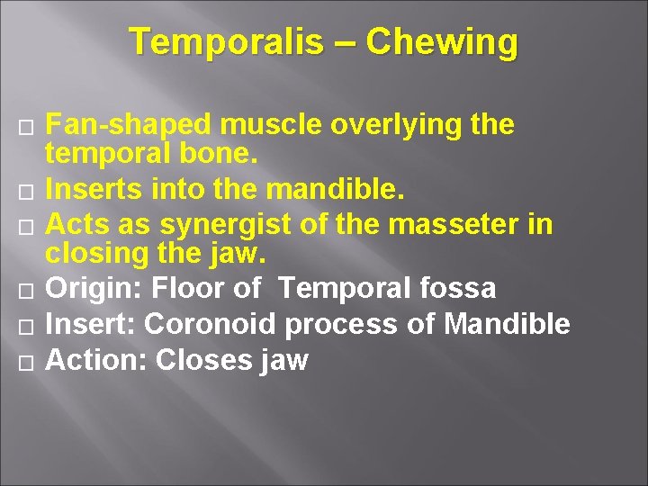 Muscles of Head Neck By Dr Pardeep Kumar