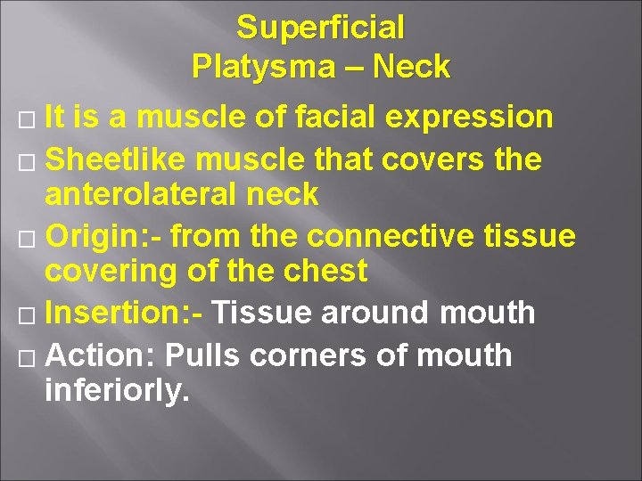 Superficial Platysma – Neck � It is a muscle of facial expression � Sheetlike