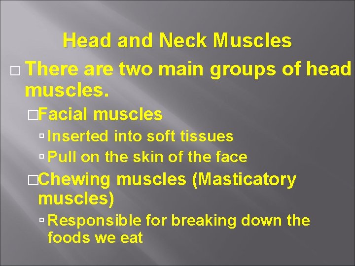 Head and Neck Muscles � There are two main groups of head muscles. �Facial