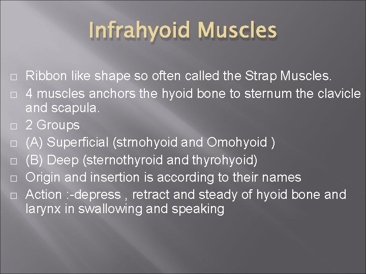 Infrahyoid Muscles � � � � Ribbon like shape so often called the Strap