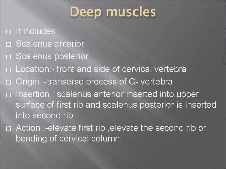 Deep muscles � � � � It includes Scalenus anterior Scalenus posterior Location: -
