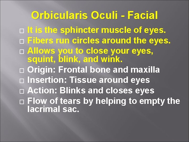 Orbicularis Oculi - Facial � � � � It is the sphincter muscle of