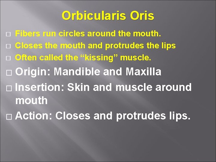 Orbicularis Oris � � � Fibers run circles around the mouth. Closes the mouth