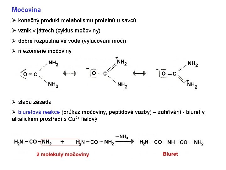 Močovina Ø konečný produkt metabolismu proteinů u savců Ø vznik v játrech (cyklus močoviny)