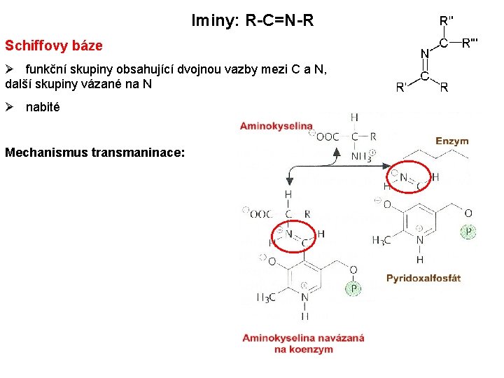 Iminy: R-C=N-R Schiffovy báze Ø funkční skupiny obsahující dvojnou vazby mezi C a N,