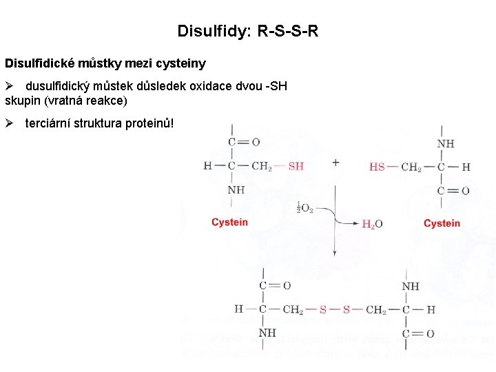 Disulfidy: R-S-S-R Disulfidické můstky mezi cysteiny Ø dusulfidický můstek důsledek oxidace dvou -SH skupin