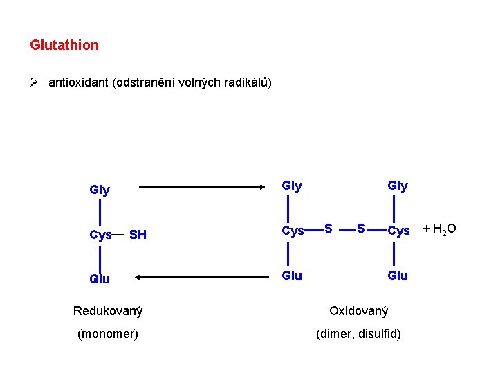 Glutathion Ø antioxidant (odstranění volných radikálů) Gly Cys SH Glu Cys Glu Gly S