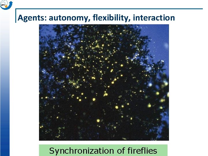 Agents: autonomy, flexibility, interaction Synchronization of fireflies 