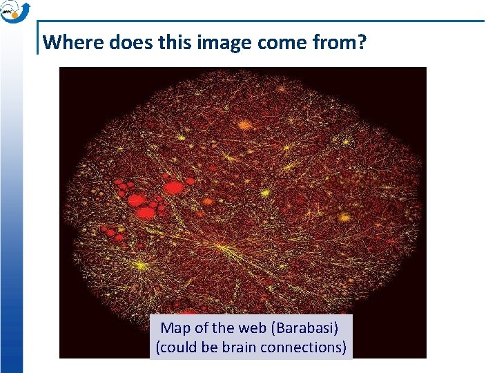 Where does this image come from? Map of the web (Barabasi) (could be brain