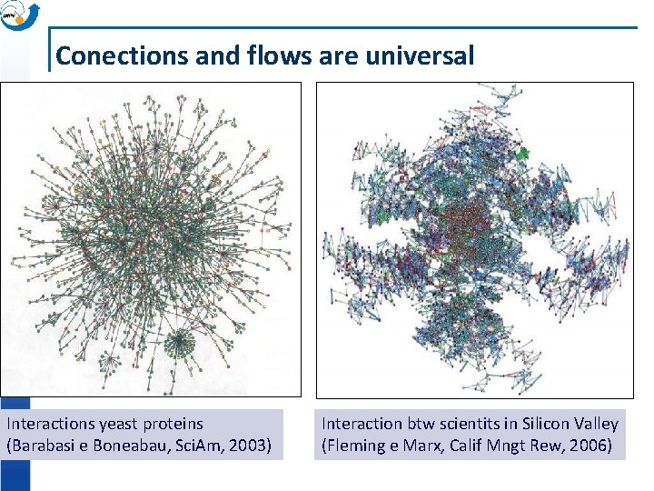 Conections and flows are universal Interactions yeast proteins (Barabasi e Boneabau, Sci. Am, 2003)