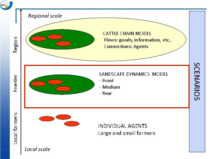 Regional scale Frontier INDIVIDUAL AGENTS Large and small farmers Local scale SCENARIOS LANDSCAPE DYNAMICS