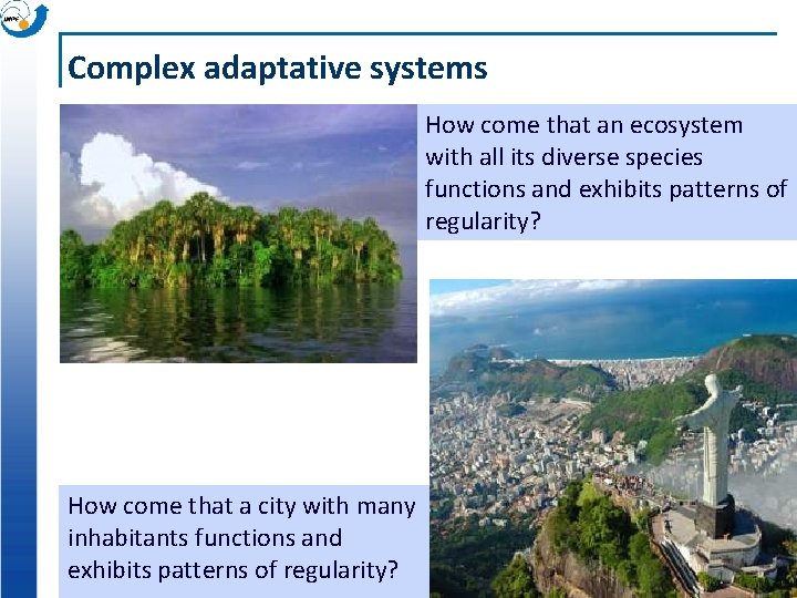 Complex adaptative systems How come that an ecosystem with all its diverse species functions