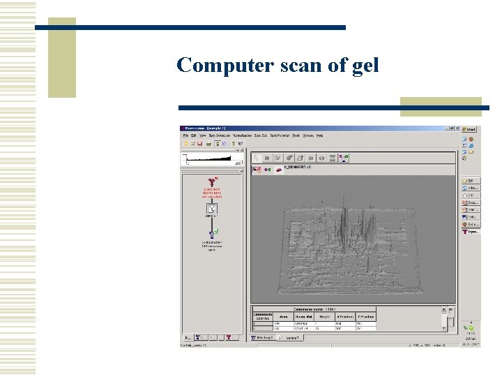 Computer scan of gel 