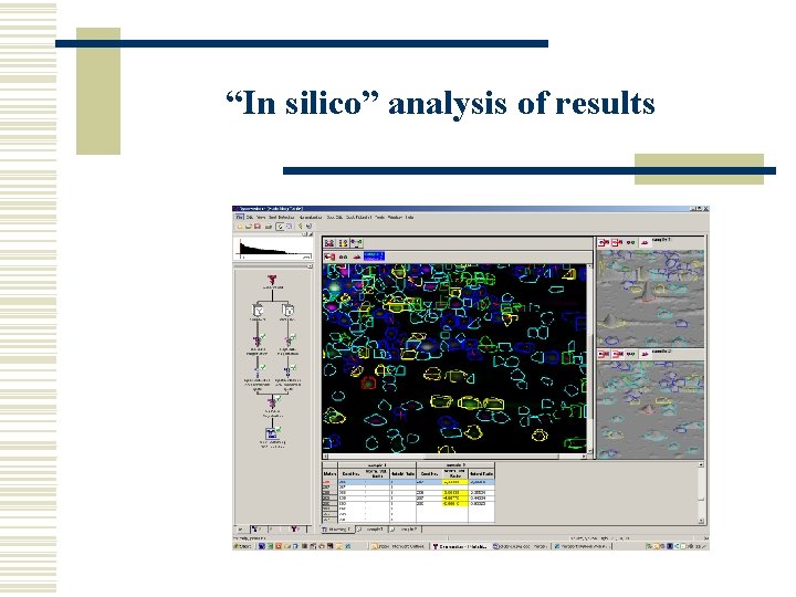 “In silico” analysis of results 