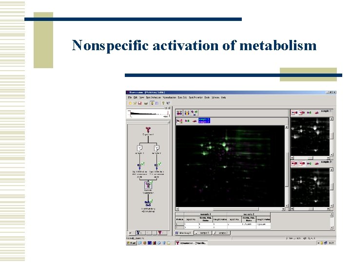 Nonspecific activation of metabolism 