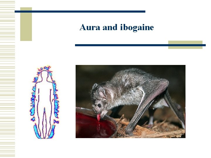 Aura and ibogaine 