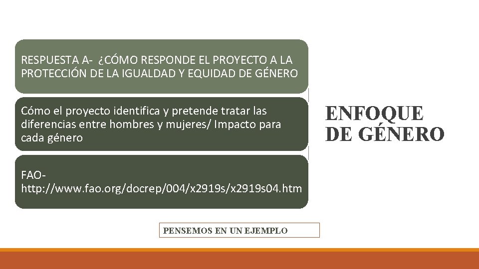 RESPUESTA A- ¿CÓMO RESPONDE EL PROYECTO A LA PROTECCIÓN DE LA IGUALDAD Y EQUIDAD