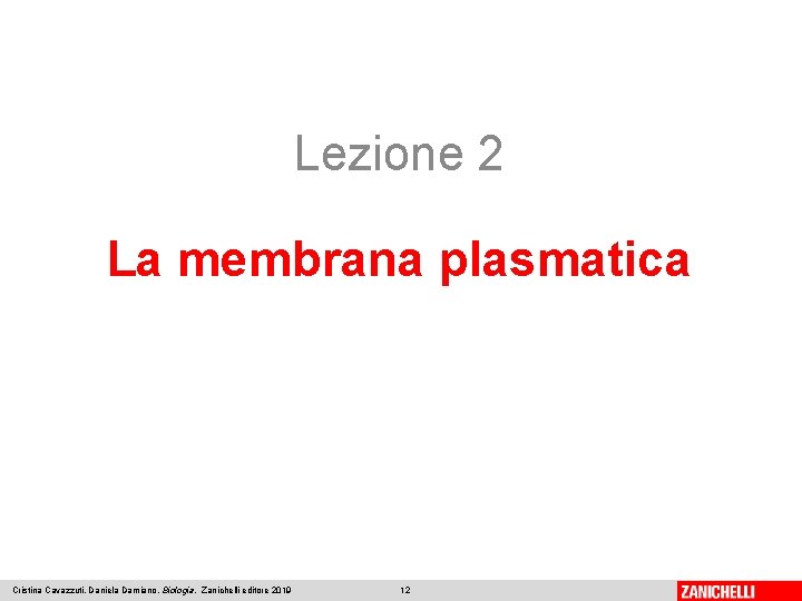Lezione 2 La membrana plasmatica Cristina Cavazzuti, Daniela Damiano, Biologia, Zanichelli editore 2019 12