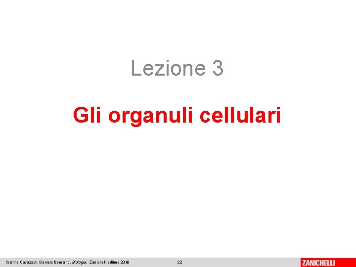 Lezione 3 Gli organuli cellulari Cristina Cavazzuti, Daniela Damiano, Biologia, Zanichelli editore 2019 22