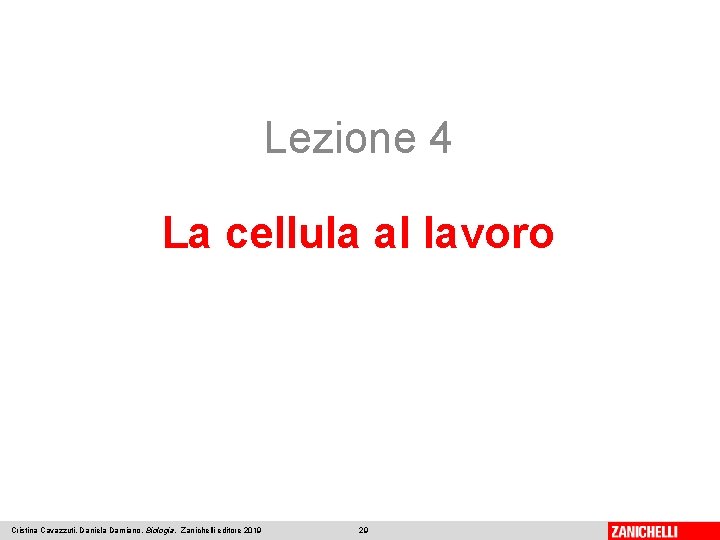 Lezione 4 La cellula al lavoro Cristina Cavazzuti, Daniela Damiano, Biologia, Zanichelli editore 2019