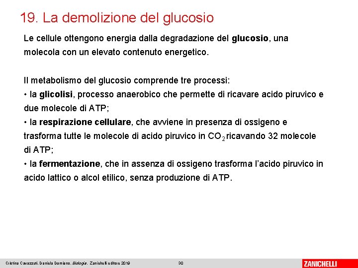 19. La demolizione del glucosio Le cellule ottengono energia dalla degradazione del glucosio, una