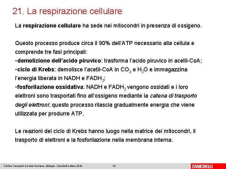 21. La respirazione cellulare ha sede nei mitocondri in presenza di ossigeno. Questo processo