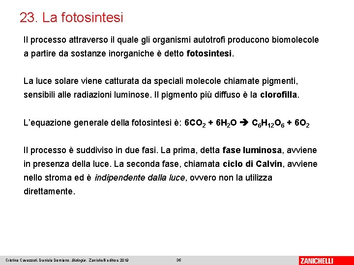 23. La fotosintesi Il processo attraverso il quale gli organismi autotrofi producono biomolecole a