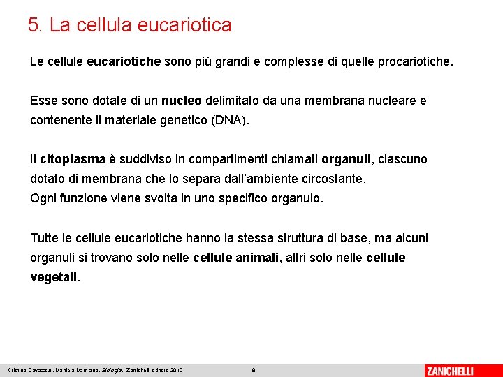 5. La cellula eucariotica Le cellule eucariotiche sono più grandi e complesse di quelle